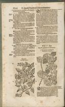 Seite 1281