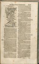 Seite 1282