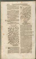 Seite 1285