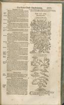 Seite 1286