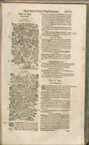 Seite 1288