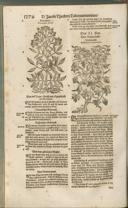 Seite 1289