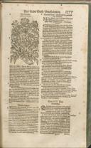 Seite 1292