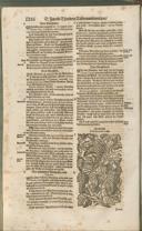 Seite 1301