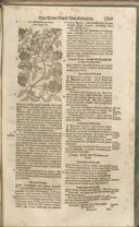 Seite 1304