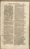 Seite 1306