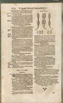 Seite 1343