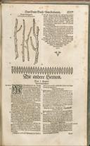 Seite 1352