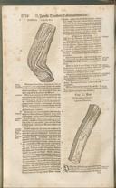 Seite 1353
