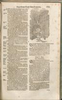 Seite 1366