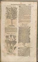 Seite 1372
