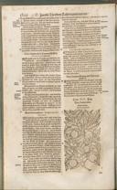 Seite 1381