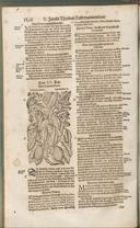 Seite 1383