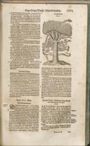 Seite 1386
