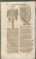 Seite 1387