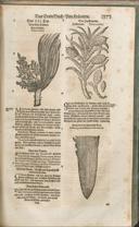 Seite 1388