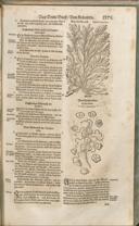 Seite 1390