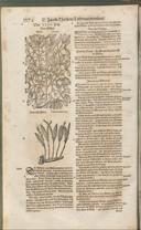 Seite 1391