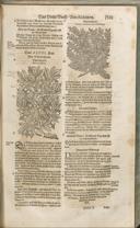 Seite 1396