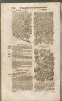 Seite 1403