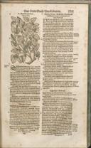 Seite 1406
