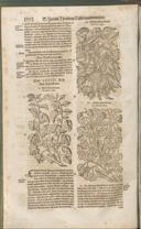 Seite 1407