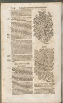 Seite 1409