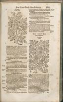 Seite 1410
