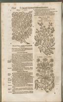 Seite 1413