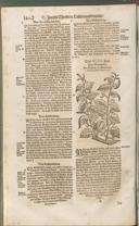 Seite 1417