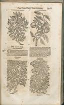 Seite 1418