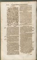Seite 1419
