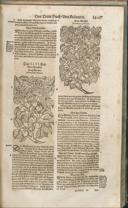 Seite 1422