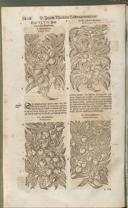Seite 1423