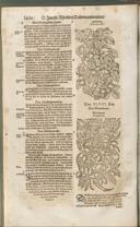 Seite 1425