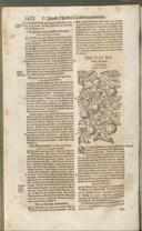 Seite 1427