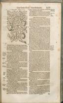 Seite 1428