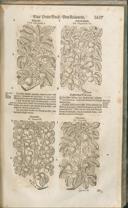 Seite 1432