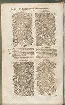 Seite 1433