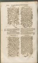 Seite 1435