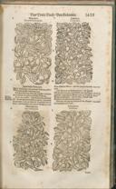 Seite 1438