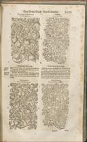 Seite 1440