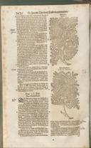 Seite 1441