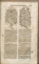 Seite 1442