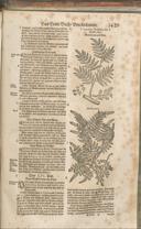 Seite 1444
