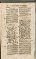 Seite 1445
