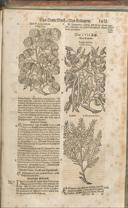 Seite 1446