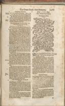 Seite 1448