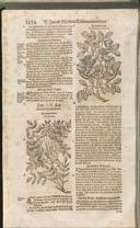 Seite 1449
