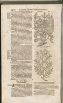 Seite 1453